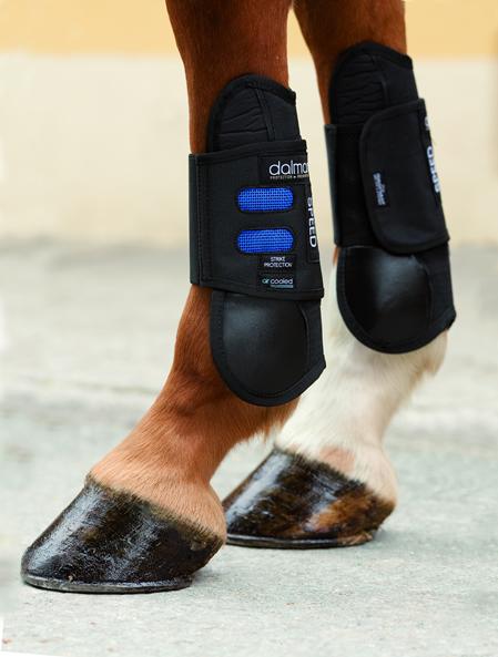 Speed Showjumping boots- front